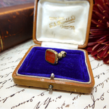 Gold fob with red stone in an open jewelry box on a textured surface