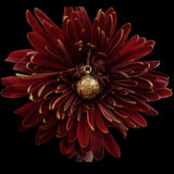 Red flower with a gold pendant on a black background