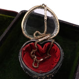 Gold chain necklace in a round jewelry box with red interior