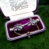 Victorian Silver, Cat's Eye Chrysoberyl, Garnet and Seed Pearl Fly Brooch circa 1870